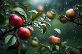 Fototapeta  - Apple tree in rain 