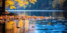 Autumn Landscape. Fiery Shades Of Autumn Foliage And The Cool Deep Blue Of The Lake.