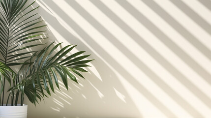 Canvas Print - palm tree against the background of a light cream wall illuminated by the rays of the sun, legal AI