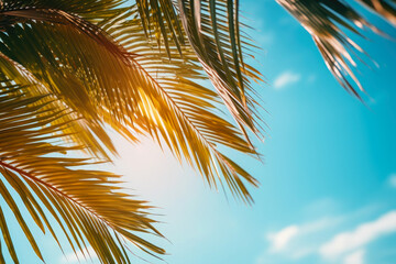 Wall Mural - Summer holidays travel concept. Palm trees against blue sky