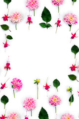 Wall Mural - flowers pink dahlia and red fuchsia triphylla on a white background with space for text. top view, f