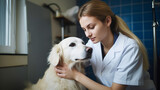 Fototapeta Przestrzenne - Young female veterinarian taking care of her dog patient , woman vet