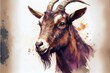 Brown billy goat portrait illustration
