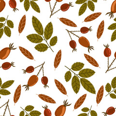 Wall Mural - pattern with red rosehip berries on a twig with leaves vector image