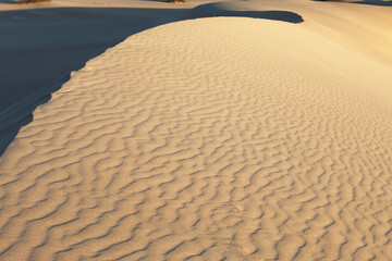 Poster - Sand dunes are gold sunrise