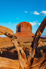 Canvas Print - Merrick Butte