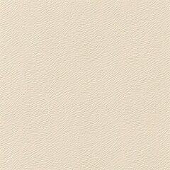 Canvas Print - Simple ivory texture background