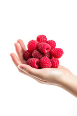 Wall Mural - Hand holding raspberries isolated on white background