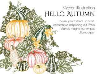 Wall Mural - Vector autumn frame pumpkin garden in engraving style