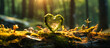 moss, heart and sun in a forest