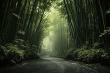 Bamboo Forest And Road