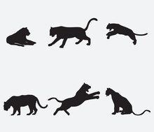 Set Of Tiger Silhouettes. Vector