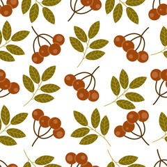 Wall Mural - pattern with red berries on a twig with leaves vector image