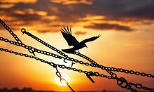 Silhouette Of Bird Flying Thorough Broken Chains At Sunset Sky Background