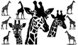 © Antonio - Vector drawings of giraffes and giraffe heads