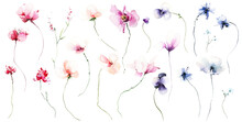 Watercolor Floral Set Of Violet, Pink, Blue, Red, Poppy, Rose, Peony, And Other Wild Flowers. Cut Out Hand Drawn PNG Illustration On Transparent Background. Watercolour Clipart Drawing.