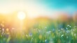 spring background with grass and sun 