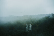 Amazing Waterfalls And Green Forest In Foggy Weather With Birds Flying