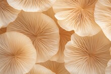 Abstract Nature Background Mushrooms