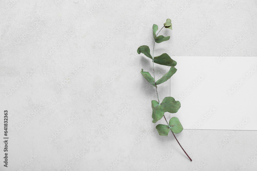Blank card and eucalyptus on white grunge background