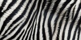 Fototapeta Konie - AI Generated. AI Generative. Zebra background decoration skin texture pattern. Black and white stripes pattern