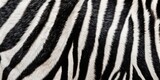Fototapeta Konie - AI Generated. AI Generative. Zebra background decoration skin texture pattern. Black and white stripes pattern