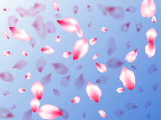 Wall Mural - Spring blossom isolated petals flying