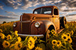 An old rustic pickup truck parked beside a sunflower field.