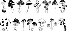 Mystical Boho Mushrooms Vector Set, Magic Fantasy Mushroom Clipart, Witchcraft Symbol, Witchy Esoteric Objects, Mystical Floral Elements