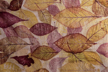 Wall Mural - Leaves eco print fabric convey the colors from nature to the beauty on fabric.