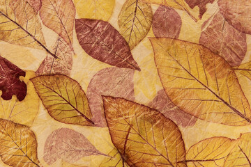 Wall Mural - Leaves eco print fabric convey the colors from nature to the beauty on fabric.