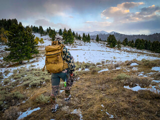 Archery deer hunting in snow