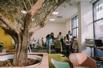 Business people having a meeting a the co working space