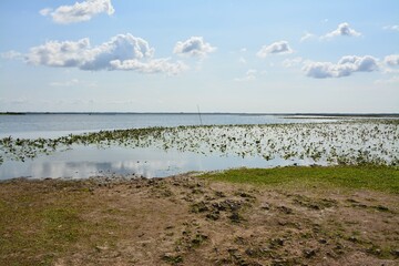 Wall Mural - Bouaye - Le Lac de Grand-Lieu	