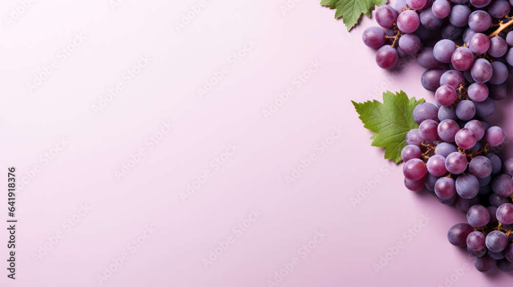 Purple grape banner with blank space, purple gradient background Stock ...