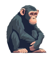 Poster - Cute monkey sitting in tropical rainforest background