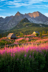 Sticker - Beautiful summer morning in the mountains - Hala Gasienicowa in Poland - Tatras