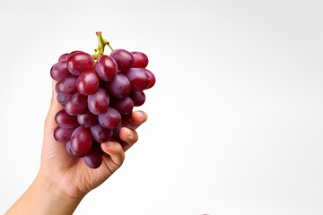 Wall Mural - Hand holding a bunch of red grapes isolated on a white background with copy space