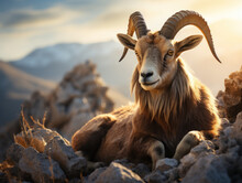 Ibex In Its Natural Habitat, Wildlife Photography, Generative AI
