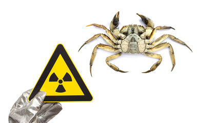 nuclear radiation warning sign and a dead crab concept of unsafe seafood