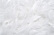angel purity copy animal eagle angle feather abstract background space wedding white fluffy Abstract fairy surface white easter c lightweight bird background bright texture feather dream beautiful