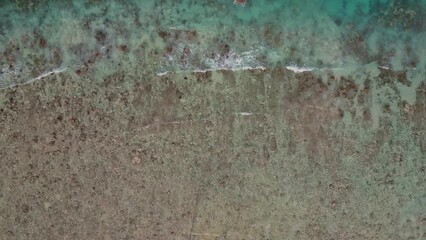 Wall Mural - Gili Island beach shore coastline showing different shades of ocean, Gili Meno, aerial landscape by drone in Lombok, Bali, Indonesia