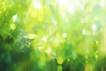 Nature Spring Background Healthy Easter Natural Bokeh Seasonal Background Spring Season Abstract Floral Abstract Pentecost Sunny Green Scene Fresh Allergy Bright Hom Green Spring Countryside Health