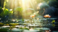 Tropical Water Lily Lotus Flowers Blossoming, Early Morning Sunshine, Nature's Beauty - Generative AI