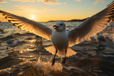 Fototapeta Sport - A seagull swooping down to catch a fish. Generative ai