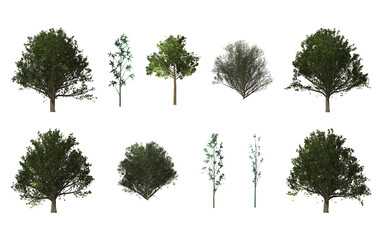 Realistic side view trees, shrub, bamboo