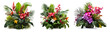 © Mrs__DoubleF - Set of flowers and leaves of tropical plants bush (Monstera, palm, hibiscus, bird’s nest fern) floral arrangement indoors garden nature backdrop . Isolated on transparent background