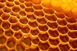 macro nature honey gold texture healthy beeswax food background background sweet comb yellow Yellow closeup wax Honeycomb hexagon organi hive apiculture pattern frame honeycomb closeup gold natural
