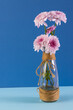 Vertical image of pink flowers in glass vase and copy space on blue background