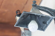 Swallow portrait on top of a lamp outside of a house.

